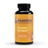 Curcuma + Piperin – 60 Kapseln