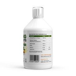 Alternative view of Ginseng Power Plus+ - 33 Shots - 500ml